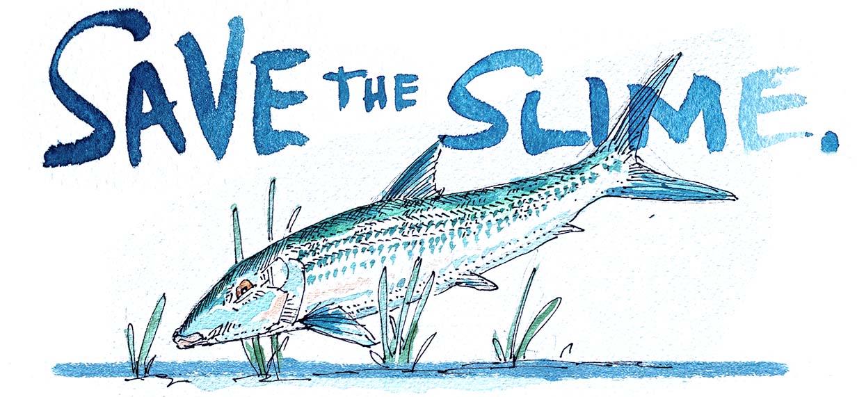 Getting Slimy; Bonefish education and handling techniques