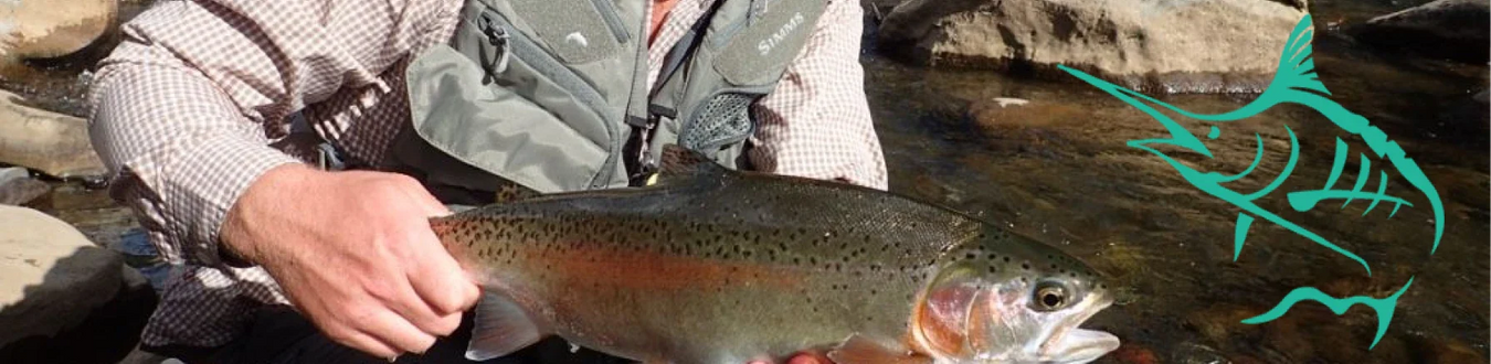 Fly Rods