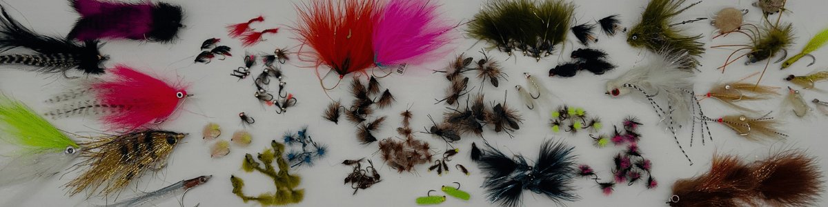 Flies