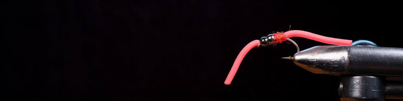 Worms