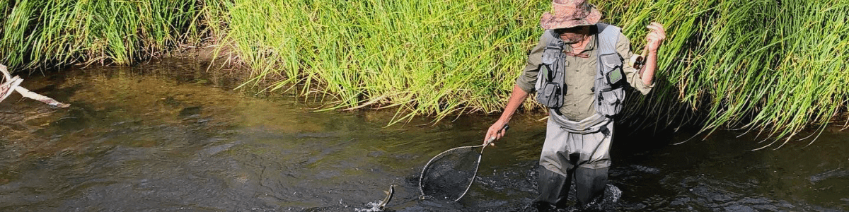 Small Streams