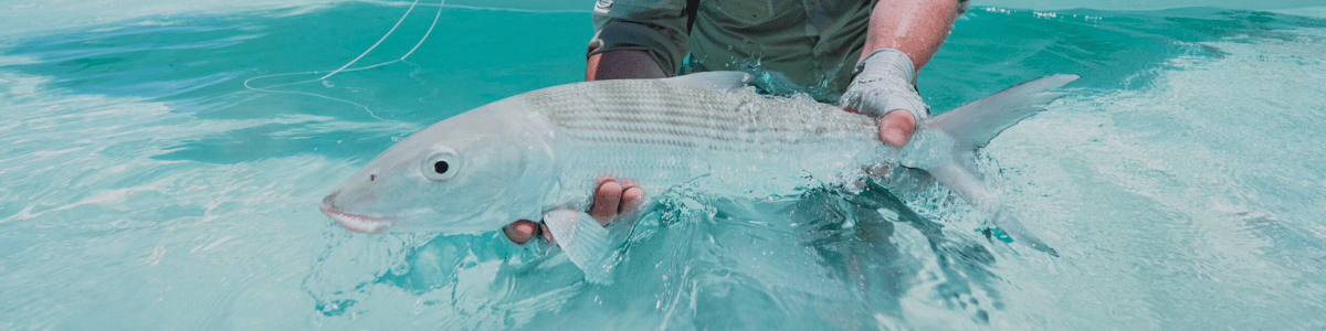 Christmas Island & Cocos Keeling