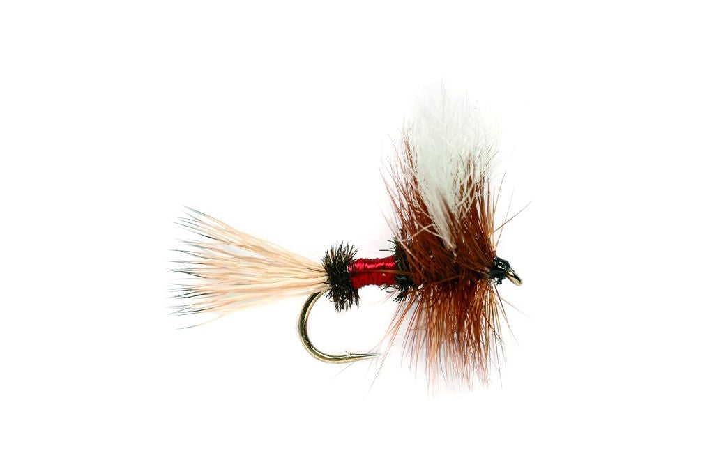 Royal Wulff #10-18