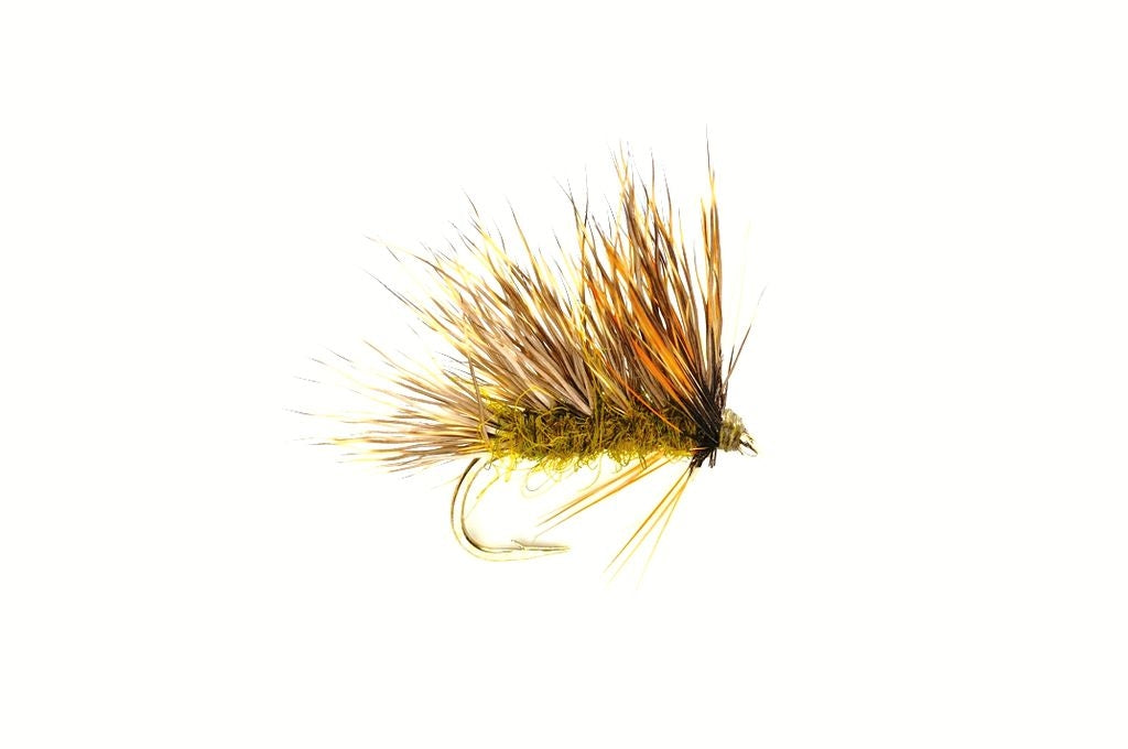 Fulling Mill Sedgehog Olive