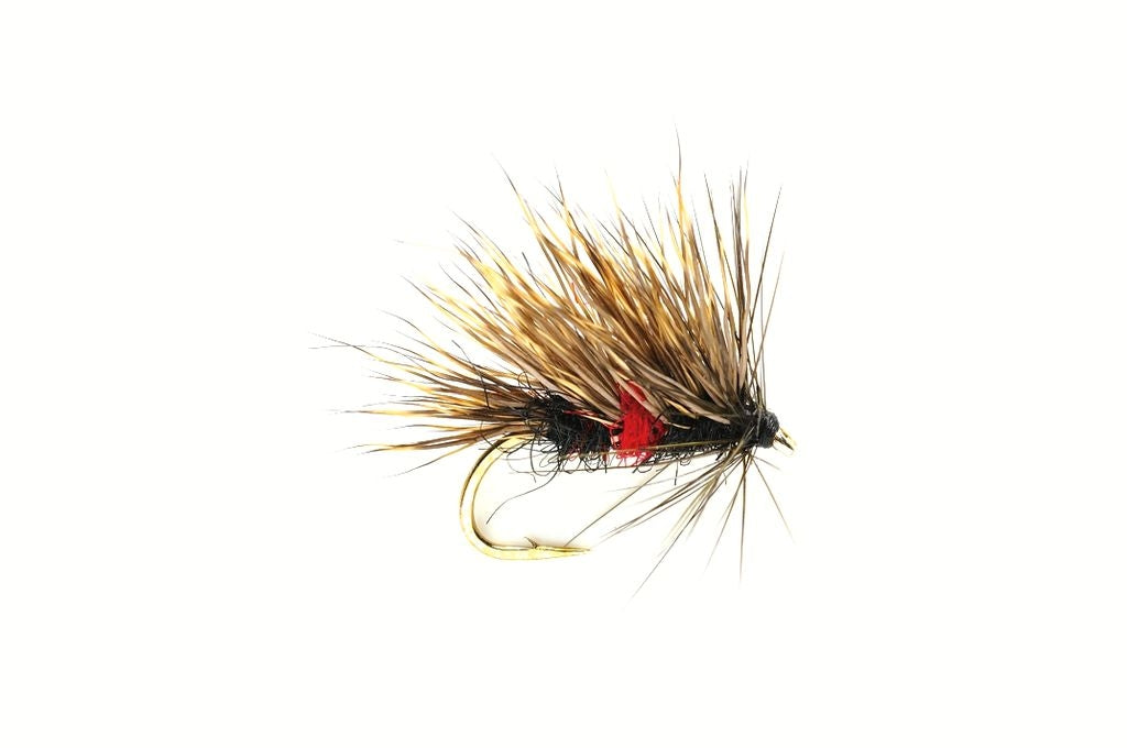 Fulling Mill Sedgehog Bibio #10
