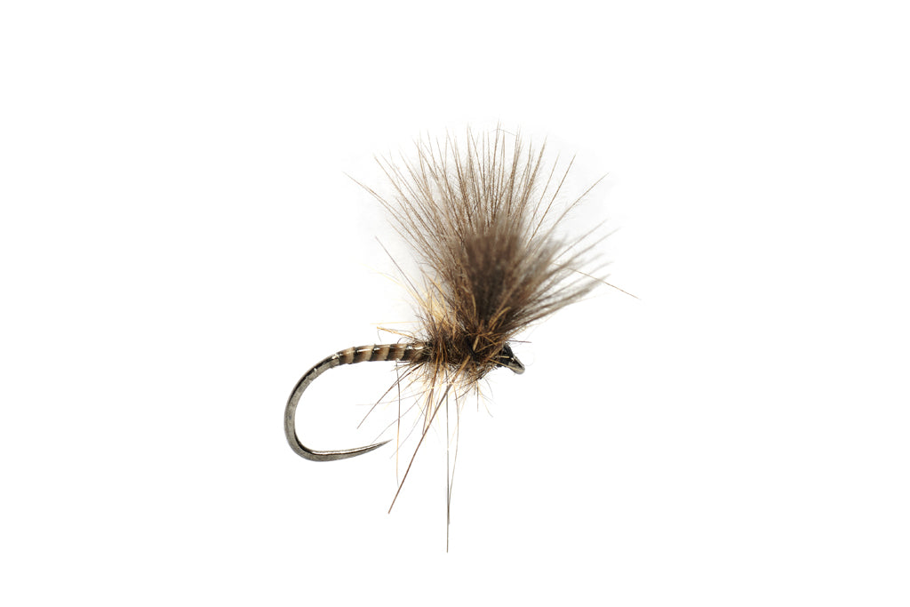 Fulling Mill Rozas Quill V-Wing