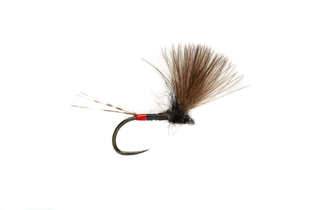 Fulling Mill Rozas French V Wing #18
