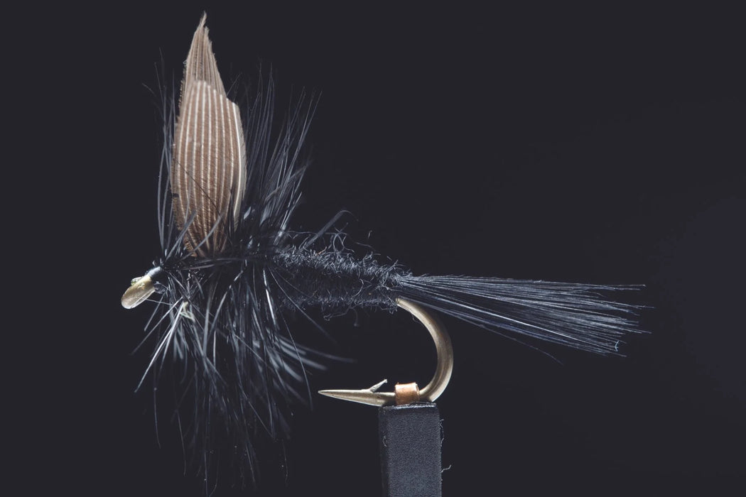 Manic Black Gnat