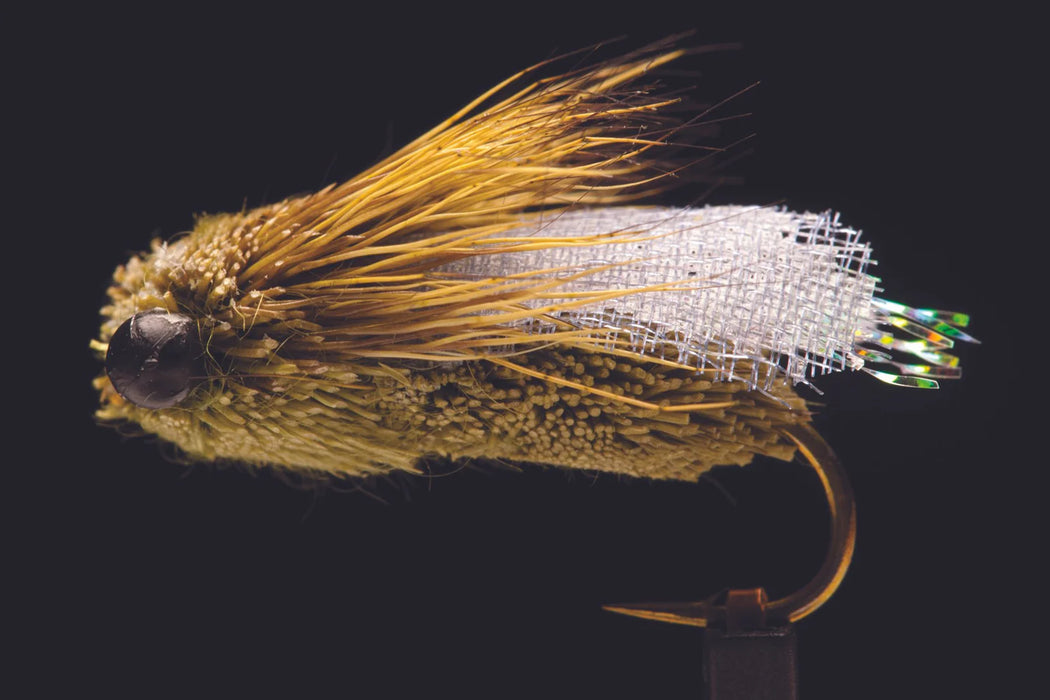 Manic Classic Cicada Olive