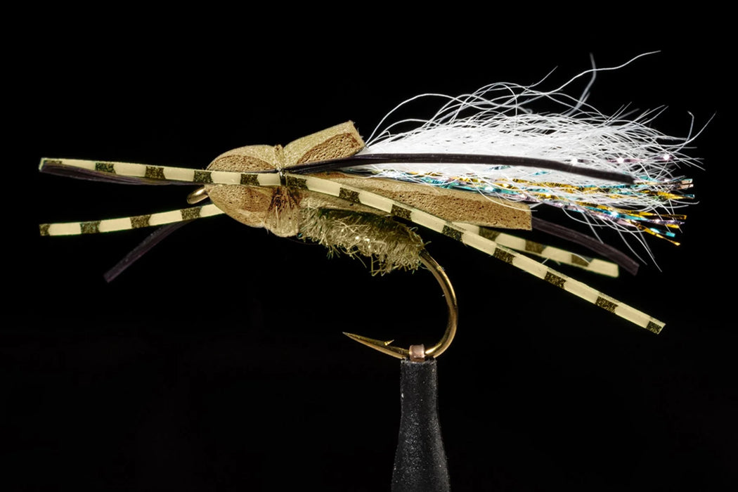 Manic Flat Back Cicada Tan #12