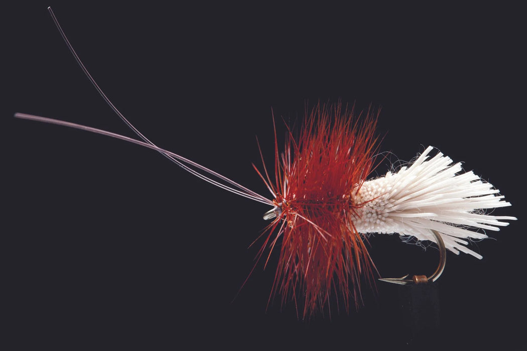 Manic Goddards Caddis #14