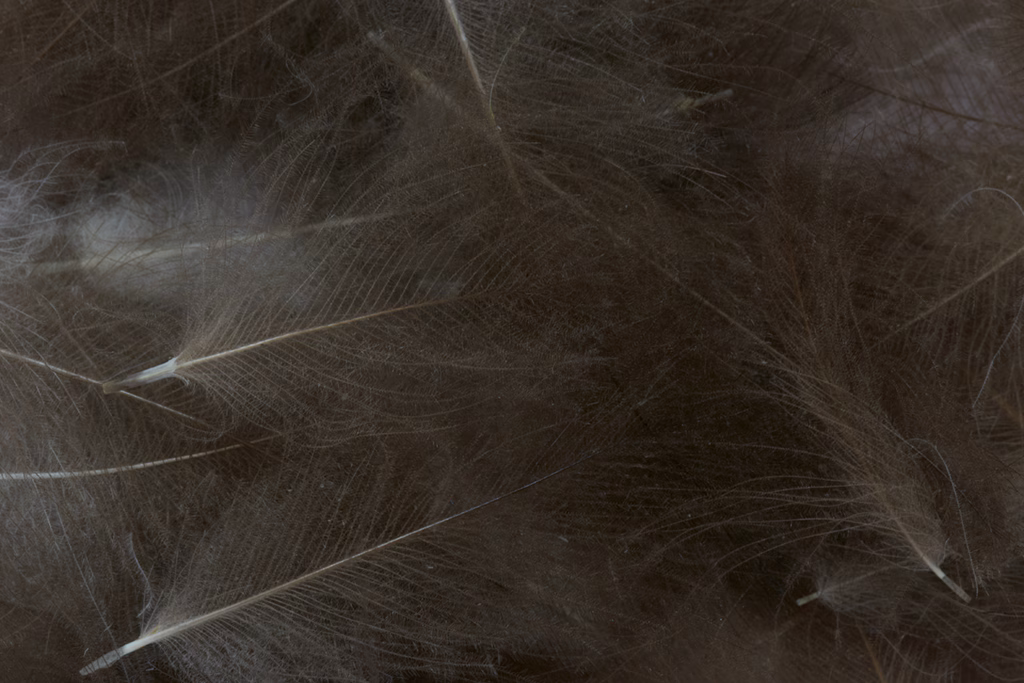 Fulling Mill CDC Feathers Bulk 3 grams