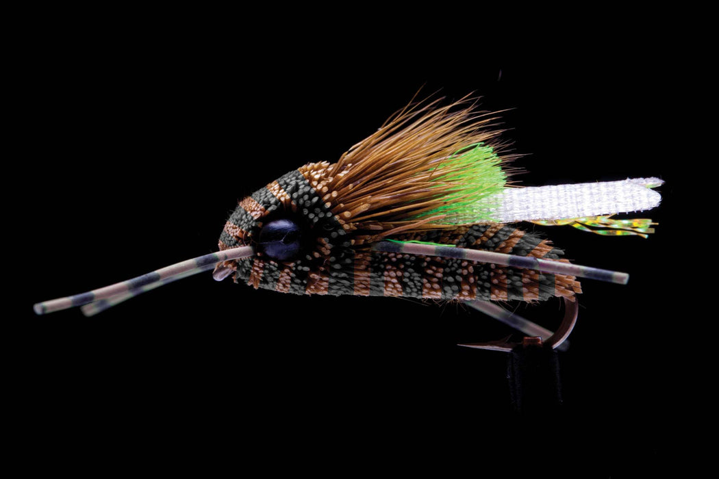 King Cicada #8