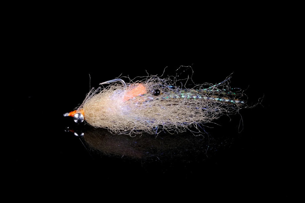 Manic Spawning Shrimp Tan