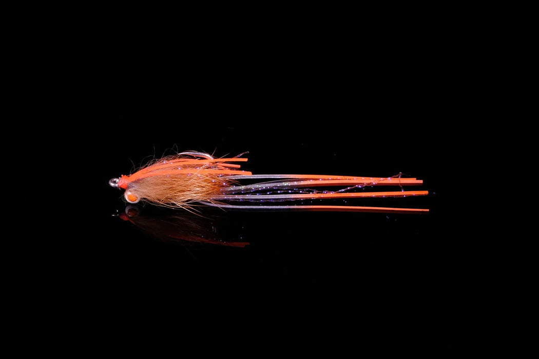 Manic Aitutaki Anthem Tan #2