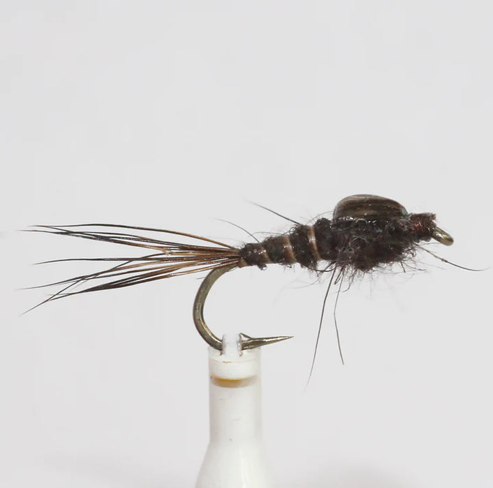 Pisces All Round Brown Nymph