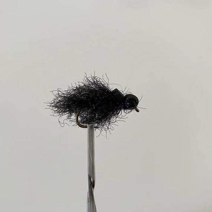Pisces Black Eye UV Brush Mudeye #6