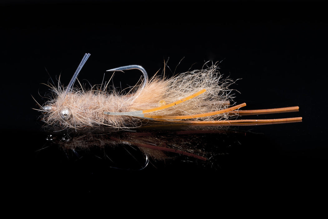 Manic Mantis Shrimp Tan Orange #4