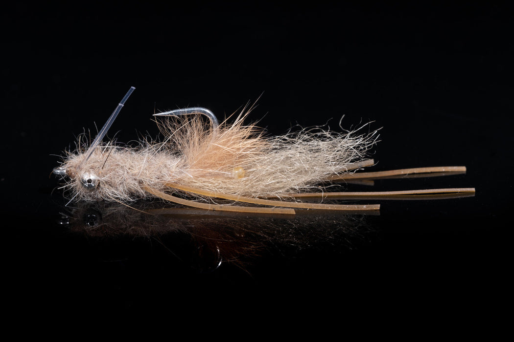 Manic Mantis Shrimp Tan #4