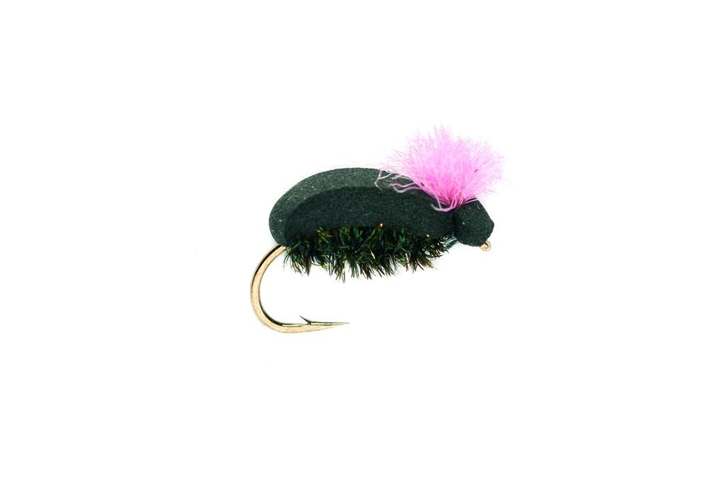 Fulling Mill Target Beetle Pink #12