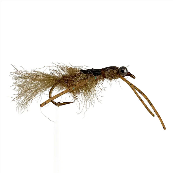 Pisces EP Couta Mudeye #8