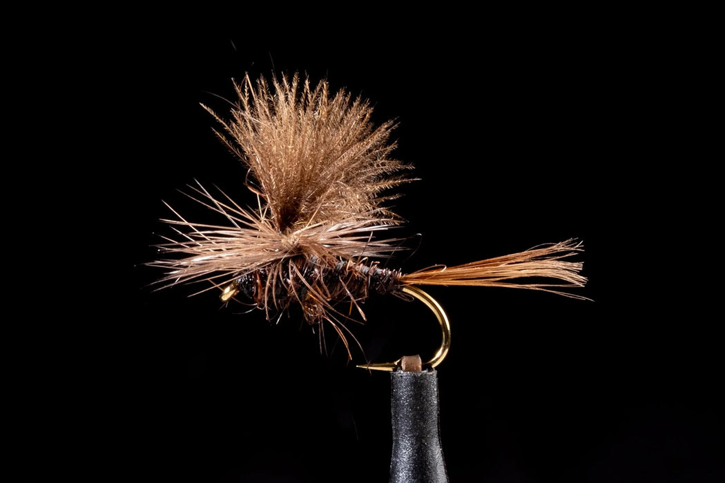 Manic Possum Dun Brown #12-14