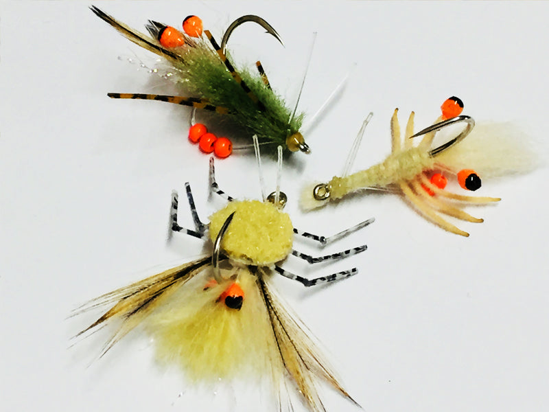 H2O Shrimp/Crab Eyes