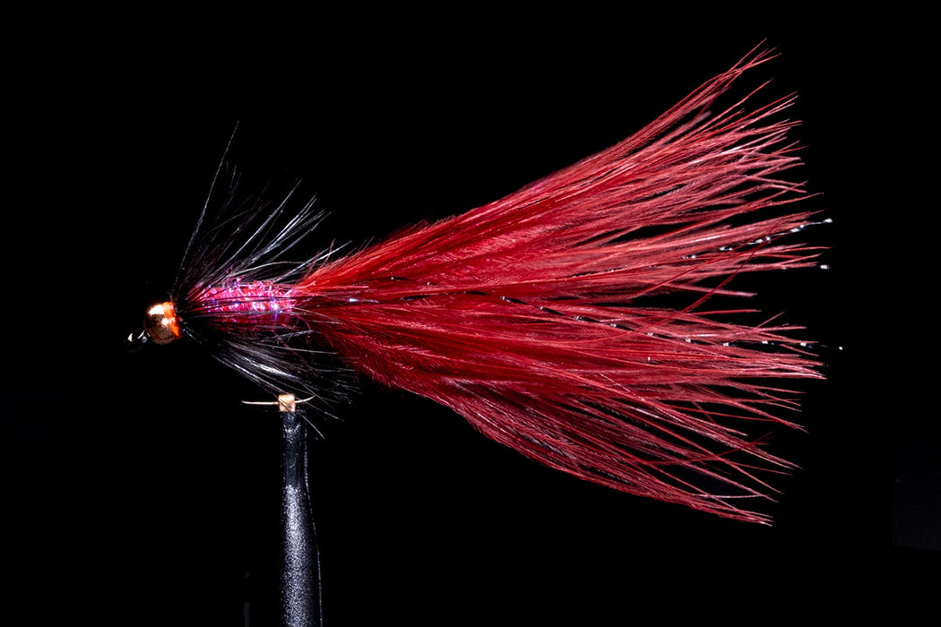Manic Snowy Bugger Claret #14