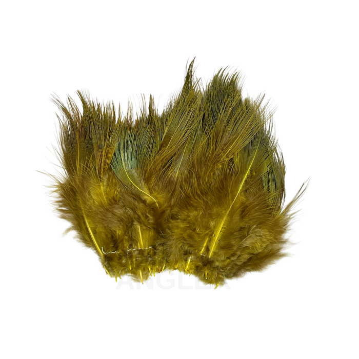 Wapsi Ringneck Pheasant Rump Hackle