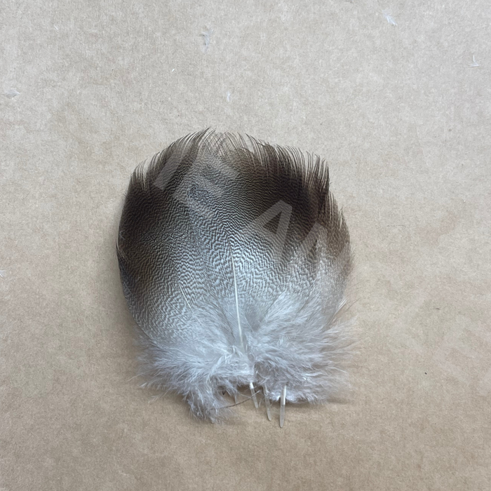 Wapsi Bronzed Mallard Flank