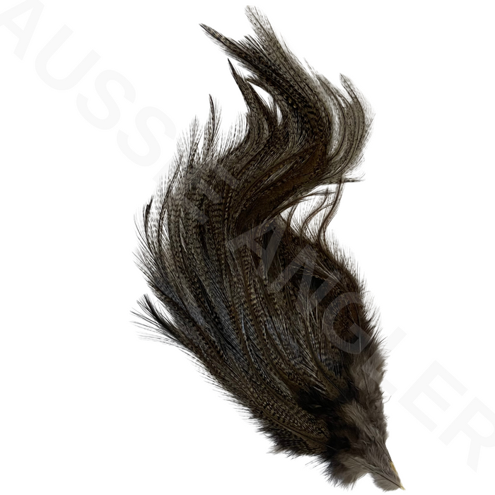 Whiting Farms Coq De Leon (CDL) Euro Nymph Tailing Pack