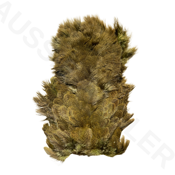 Whiting Farms Coq De Leon (CDL) Soft Hackle with Chickabou