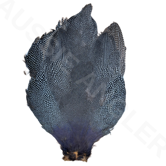 Whiting Farms Guinea Fowl Large