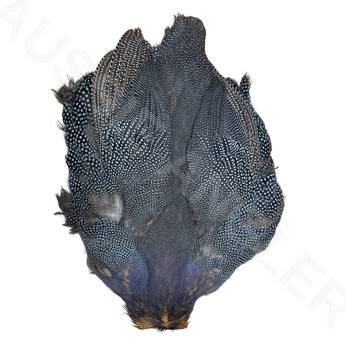 Whiting Farms Guinea Fowl Medium