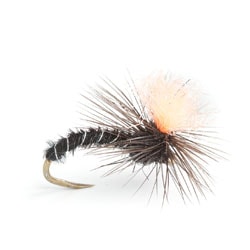 Christoper Bassano Grab All #14