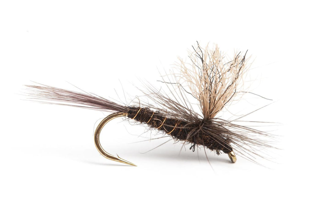 Bill Beck Brown Parachute Emerger #12