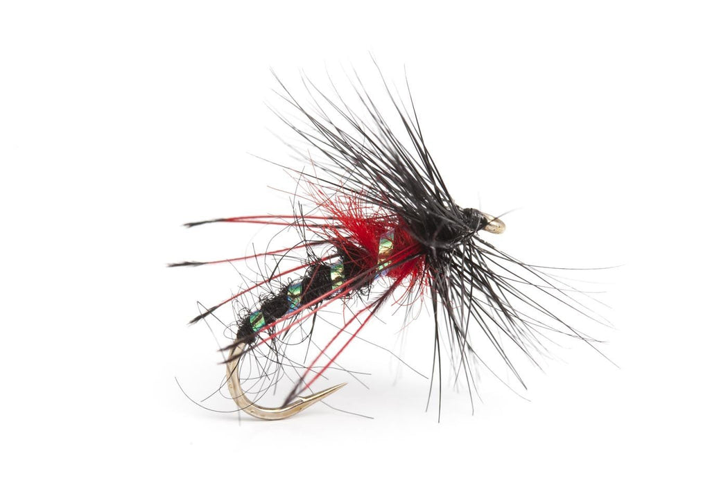 Bill Beck Bibio Hopper #12