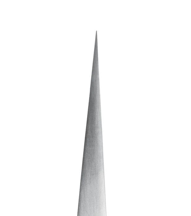 Renomed Straight Precision Tweezers