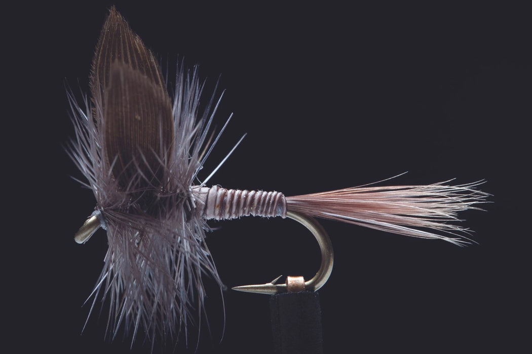 Manic Blue Quill