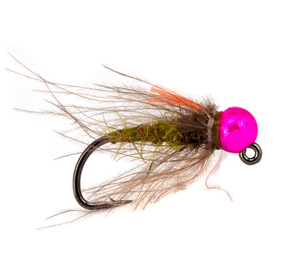 C3 Gummers Carpet Caddis PTB