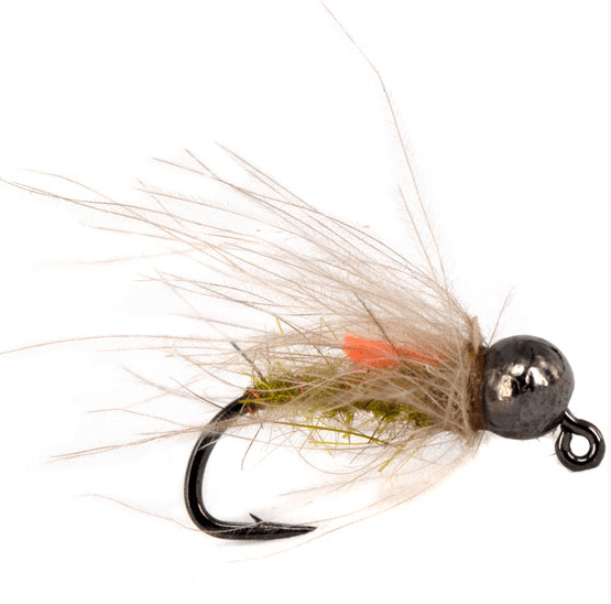 C3 Gummers Carpet Caddis BTB