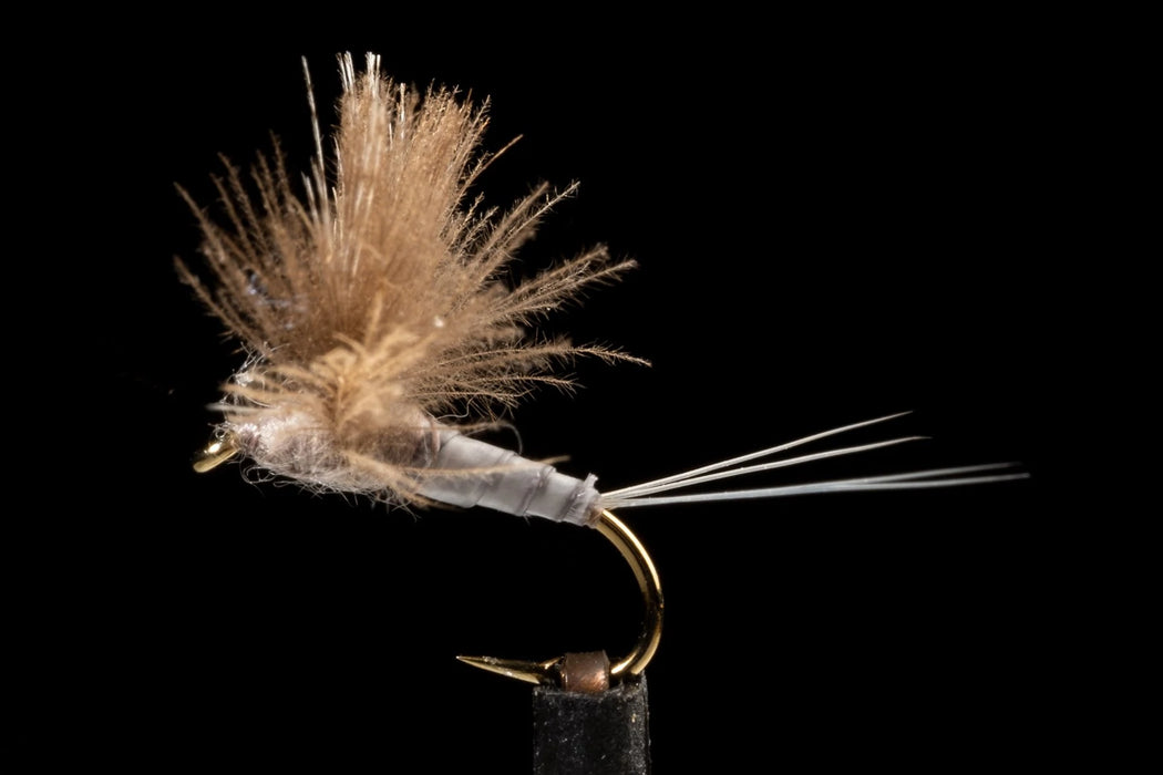 Manic CDC Biot Comparadun Grey #14