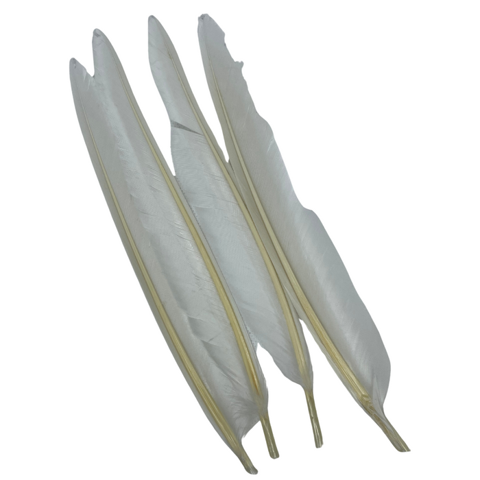 Wapsi Duck Quills