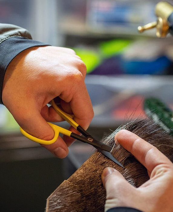 Loon Hair Scissors