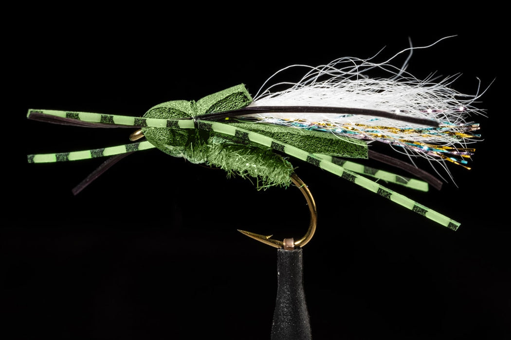 Manic Flat Back Cicada Olive #10