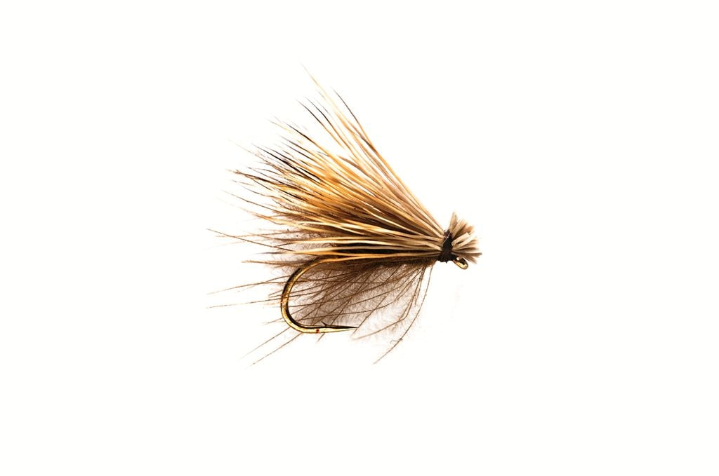 Fulling Mill CDC Elk