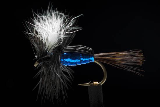 Manic Humpy Blue Bottle