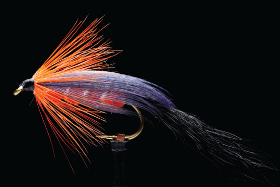 Manic Scotch Poacher #6