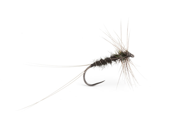 Christopher Bassano Black Spinner #12