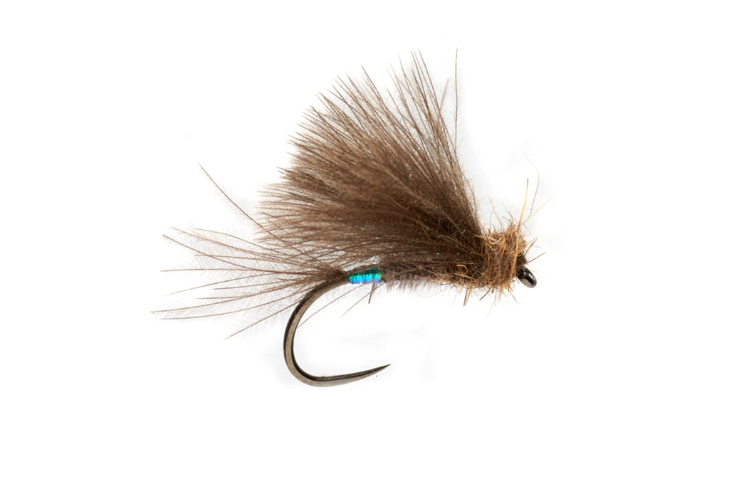 Fulling Mill Rozas Owl Olive #16